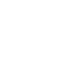 White Geely logo