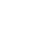 White Zeekr logo